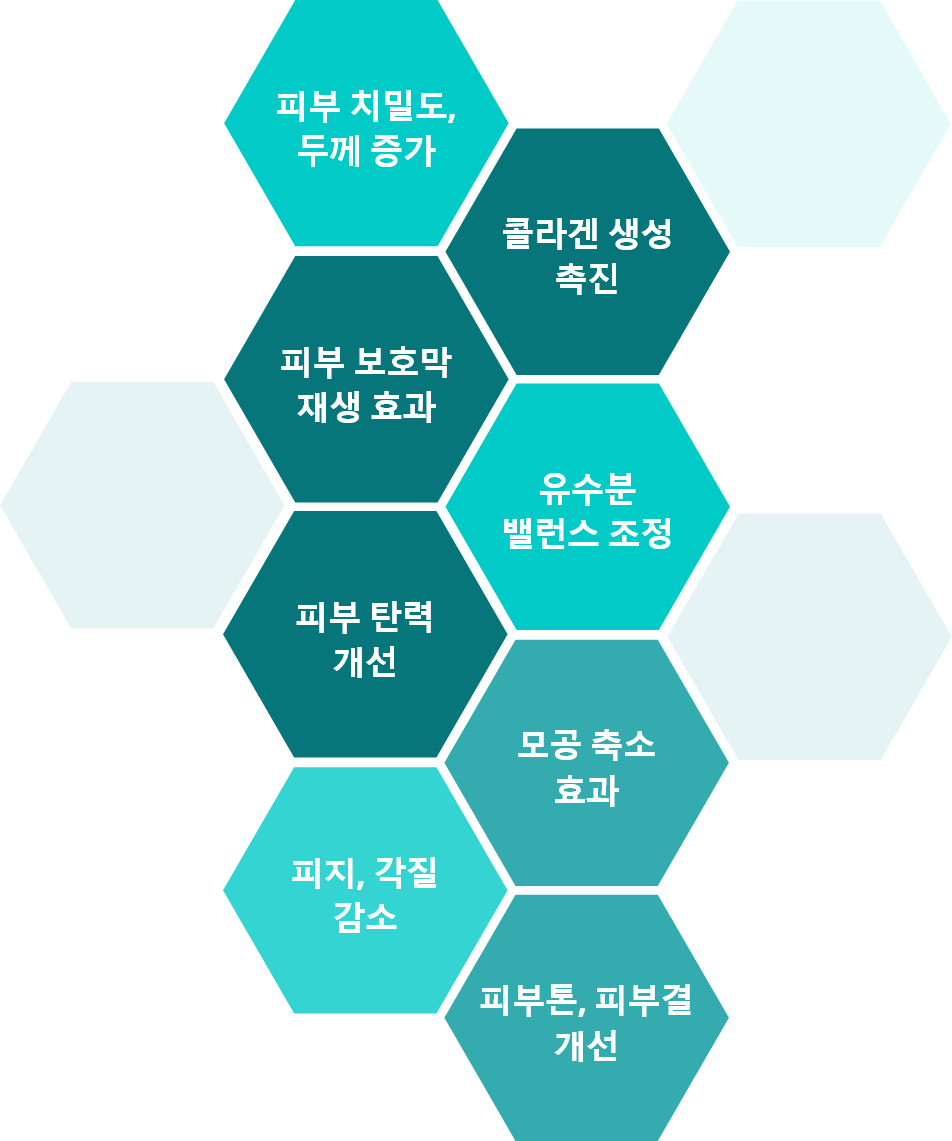 피부 보호막 재생 효과, 피부 탄력 개선, 피부 치밀도 두께 증가, 유수분 밸런스 조정, 피지,각질 감소, 콜라겐 생성 촉진, 모공 축소 효과, 피부톡,피부결 개선